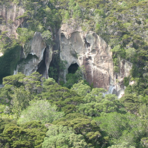 Historic Whitianga Rock Maori Pa site